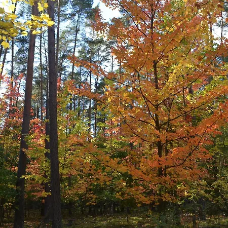 Rosenrot Am Prázdninový dům Userin